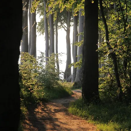 Bauwagen Am Rande Der Welt