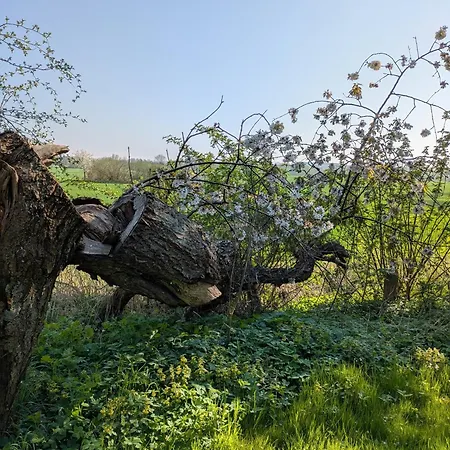 مكان تخييم Bauwagen Am Rande Der Welt Garvensdorf