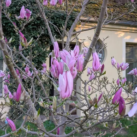 Bauwagen Am Rande Der Welt *