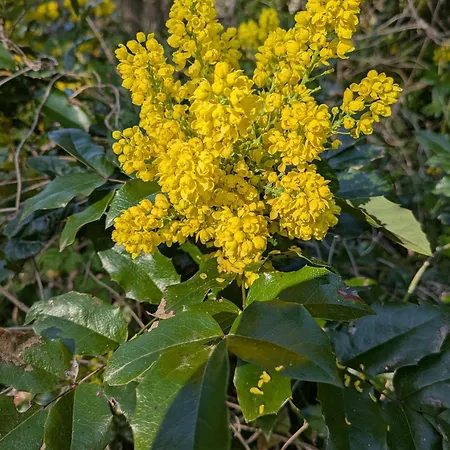Bauwagen Am Rande Der Welt * Garvensdorf